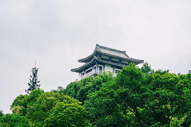 《宝可梦 朱＆紫》游戏容量再次更新 每款只有6.3GB